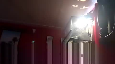 SEX ADDICTION WANNA MEET online show from December 19, 6:34 pm