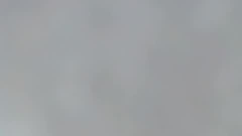 playboypetit online show from January 13, 12:51 am