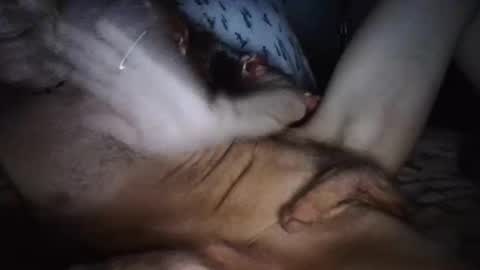 playdaddy756210 online show from March 12, 2:48 am