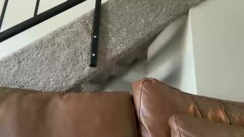 pocketnikki online show from November 20, 7:00 pm