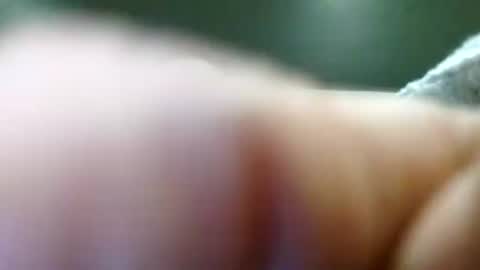 pokietommy online show from June 13, 12:43 am