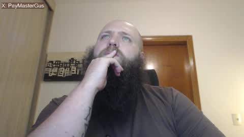 Bear online show from April 3, 4:08 am