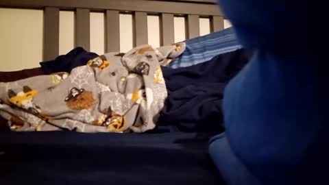 Polebee online show from January 23, 10:43 am