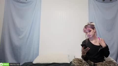 Cheshire  Bee online show from September 21, 7:23 am