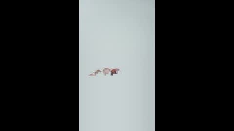 pompeche2 online show from March 26, 8:52 am