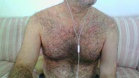 osito-lobo online show from March 13, 11:13 am