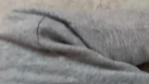 prinzkail643 online show from January 19, 10:03 am