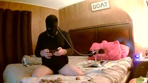 puplyfe online show from November 17, 7:55 am