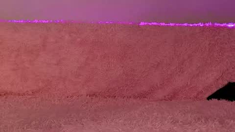 Dasha online show from November 1, 8:52 pm