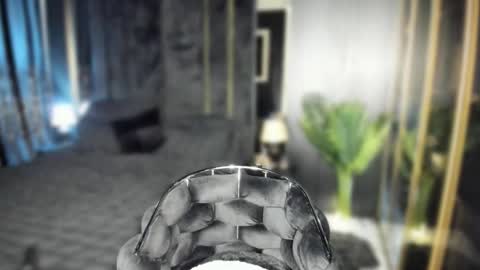 Snapshot of pussydollxx chatting on October 2, 9:13 pm Andreea online show from October 2, 9:13 pm