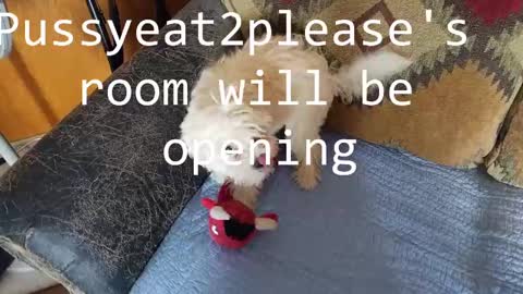 Rick online show from February 23, 10:39 am