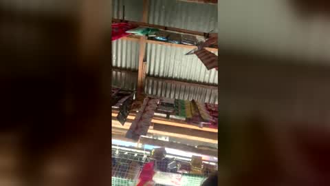 pussyzlicky online show from January 9, 7:03 am