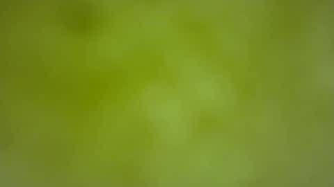 quinnxx online show from February 22, 6:39 am