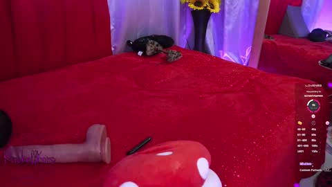 Snapshot of rachellkors_ chatting on February 25, 3:31 pm rachellk online show from February 25, 3:31 pm