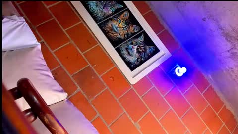 Snapshot of rashell_swet chatting on October 5, 5:09 pm thalia online show from October 5, 5:09 pm