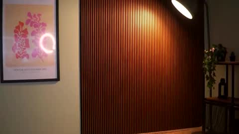 Lav online show from November 11, 7:49 pm