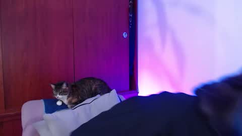 raventh_ online show from March 14, 11:58 am