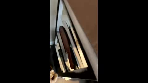 ravenxbeastie online show from February 17, 9:00 pm