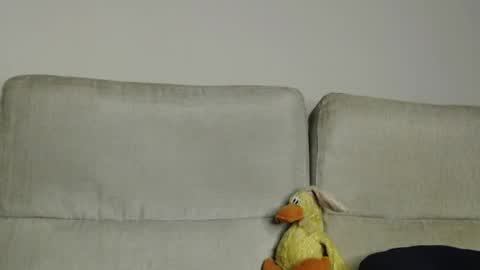 Ray  online show from April 5, 11:40 am