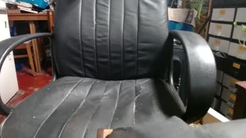 Ray online show from November 18, 12:02 am