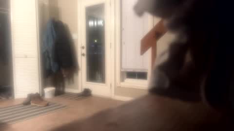 Mr Nice online show from December 10, 6:22 am