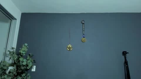 twitter REECET26 instagram RECCETAYLOR online show from February 3, 2:53 am