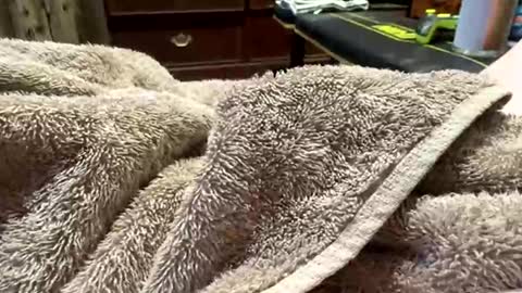 Red online show from March 17, 2:38 am