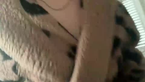 Rosie online show from November 14, 11:23 am