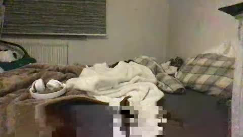 Redfox online show from March 10, 6:56 pm