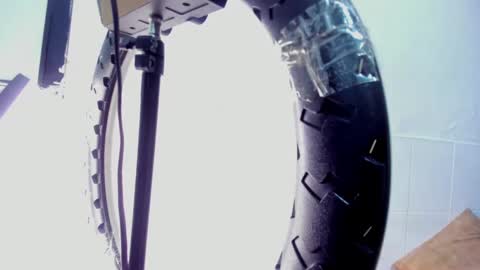 reed_kitty online show from January 6, 1:48 pm