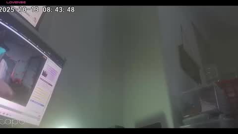 reza240782 online show from October 13, 7:43 am