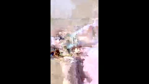 rgbarbary online show from December 21, 9:16 am