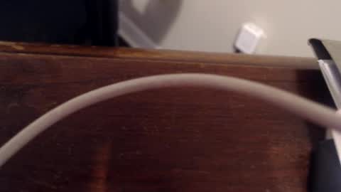 Snapshot of rh1429 chatting on February 17, 1:11 pm Trae online show from February 17, 1:11 pm