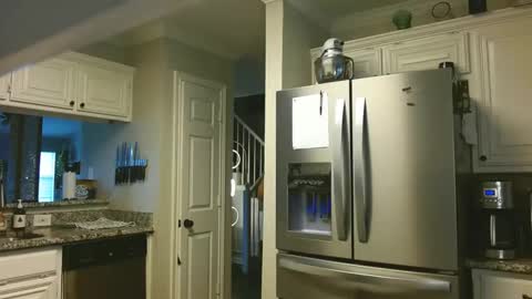 riley depp online show from February 14, 10:04 pm