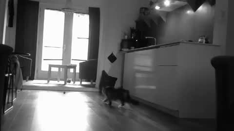 Snapshot of rober10000 chatting on September 12, 7:54 am rober10000 online show from September 12, 7:54 am