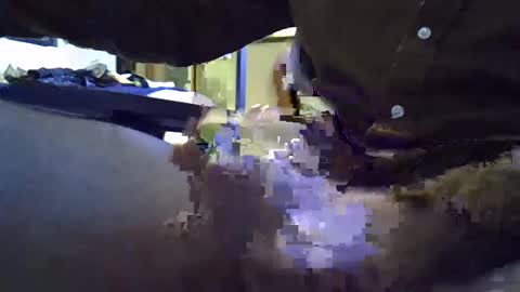 rocco981980 online show from January 8, 12:06 am