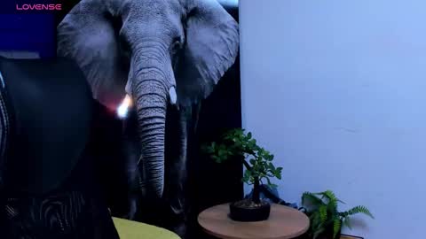 Snapshot of rocco_santos chatting on October 13, 3:41 am rocco_santos online show from October 13, 3:41 am