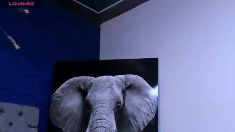 Snapshot of rocco_santos chatting on October 10, 3:12 am rocco_santos online show from October 10, 3:12 am