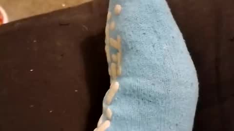 rockinchell online show from March 5, 1:14 am