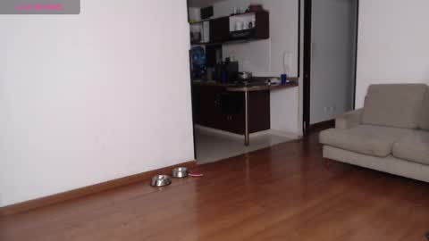 Snapshot of rogger_physique chatting on February 21, 3:12 am Rogger online show from February 21, 3:12 am