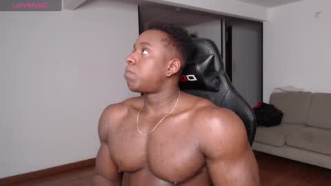 Snapshot of rogger_physique chatting on February 2, 1:55 am Rogger online show from February 2, 1:55 am