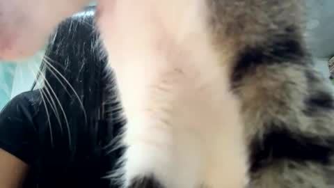 rouse_karl online show from November 12, 4:04 am