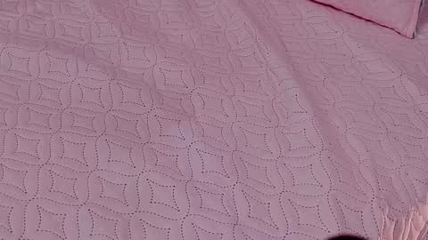 RubiQueens online show from February 28, 1:31 am