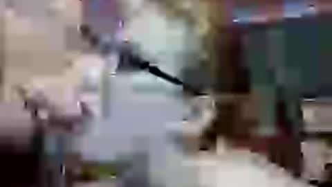 Rusty online show from July 12, 10:24 pm