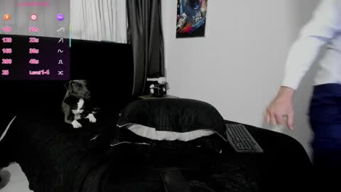 Ryan 15 online show from December 2, 9:40 am