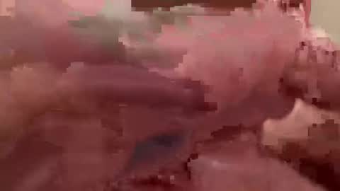 ryley_g online show from February 5, 2:59 am