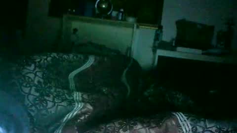 Snapshot of s4h4r4_fir3 chatting on October 3, 4:32 am W4TER FIR3 online show from October 3, 4:32 am