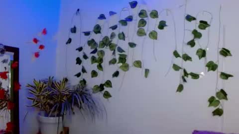 SABRI online show from February 14, 12:08 pm