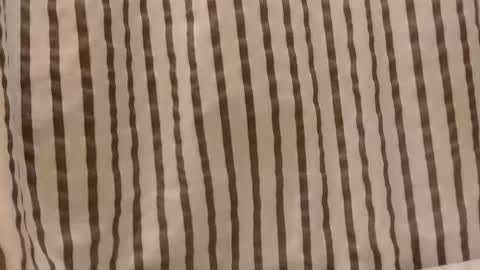 Dee online show from October 29, 1:13 pm