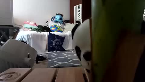 Snapshot of salis1981 chatting on February 8, 1:54 am salis1981 online show from February 8, 1:54 am